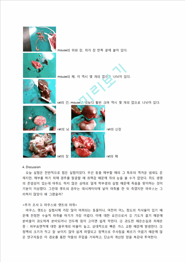 [의학,약학] 생물학 실험 - 척추동물의 관찰.docx